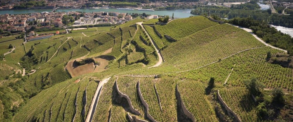 Delas Côtes-du-Rhône Saint-Esprit – Bild 2