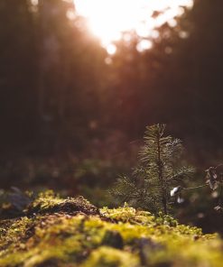 Wenn ich mal Groß bin…