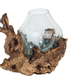 Teakwurzel mit Glas Vase XXL 50-60 cm